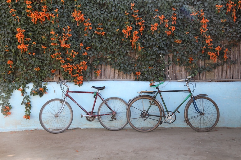 two bikes